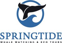 SpringTide-Logo